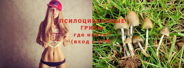 2c-b Алзамай